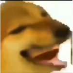 Group H A M B U R G E R