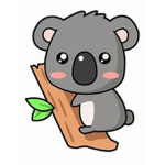 x Crazy Koalas x