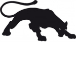 Pantera Designs®