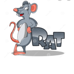 Team_rat
