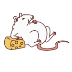 Rad Rat Buds