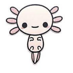 Axolotl clan for friends