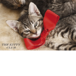 TheKittyClub