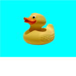 RUBBER DUCKS OF WAR