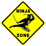 ninjamatt and freinds