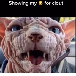 HEHE