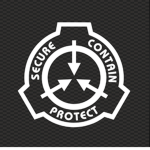 The Mobile Task Force (MTF)