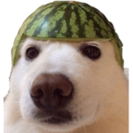 kiwilemon