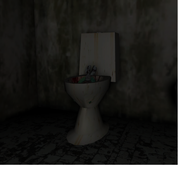 now why on earth in the toilet are there pliers