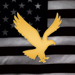 [USM] United States Militаry