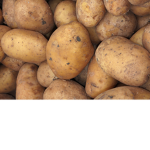 potato producti0ns