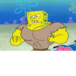 Sponge bob fun club