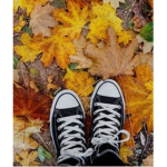 aki loves autumn