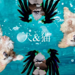 ブロックス海賊団