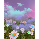 Aesthetic Angel's!