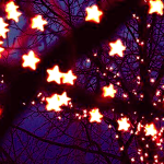 *+Starrist+*