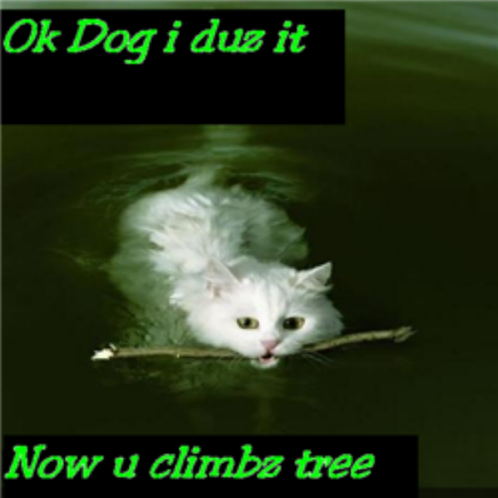 Funny Cat Decal Fave b4 take! Roblox decal