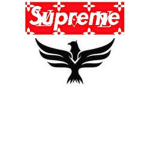 Supreme volleyball