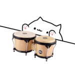 Bongo Boys