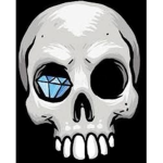 Diamond skull pirates