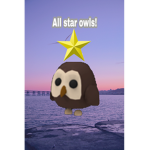 The all star owls