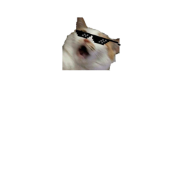 Fun obby reach the end for stuff