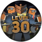 Level 30