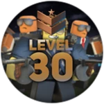 Level 30 Roblox badge thumbnail
