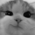 noircl0uds.