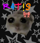 R4T!S