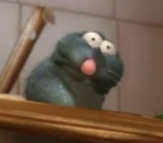 RATS F0R LIFE