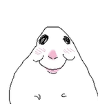 Fanf fan group~!
