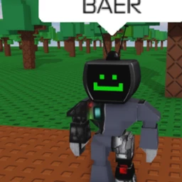 Baer icon