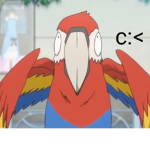 Parrot fan group :D