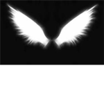 Elite Winged Warriors