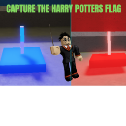 Capture the harry potters flag