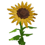 Sunflower Skin