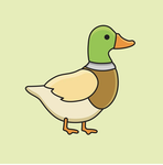 THE DUCK MILITARY OF THE RUBBER DUCKY LAND