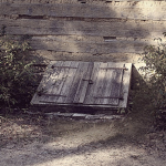 The Cellar Door