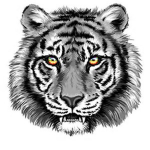 The Tiger Troop