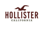 Hollister Fashion