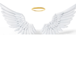 Wings of wisdom!