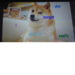 doge fan meme club