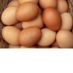 eggalicious eggs