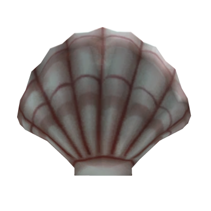 Seashell Snare