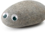 The Pet Rock Group