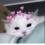 Frxzbie