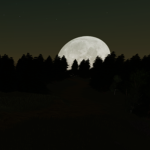 Forest Roblox Group