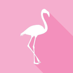 We are the Flamingoss
