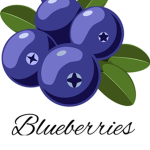 Blue baby blueberrys